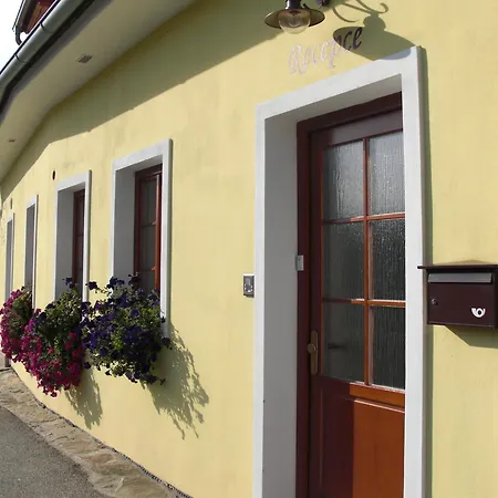 Guest house Kriz 3*